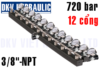 Đầu chia thủy lực AM-121CG