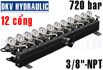 Đầu chia thủy lực AM-122CG