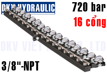 Đầu chia thủy lực AM-161CG