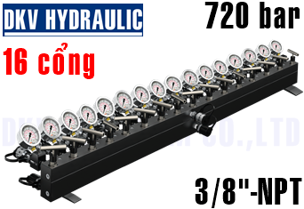 Đầu chia thủy lực AM-162CG