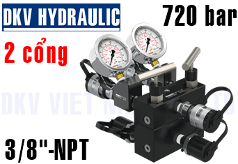 Đầu chia thủy lực AM-22CG