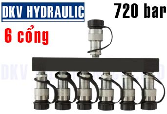 Đầu chia thủy lực AM-60C