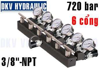 Đầu chia thủy lực AM-61CG