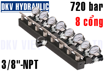 Đầu chia thủy lực AM-81CG