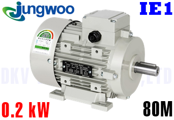 Động cơ điện Jungwoo B3 (0.2 kW, 80M)