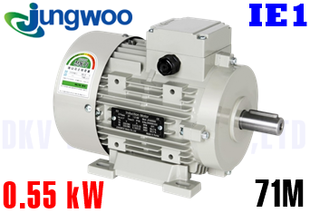 Động cơ điện Jungwoo B3 (0.55 kW, 71M)
