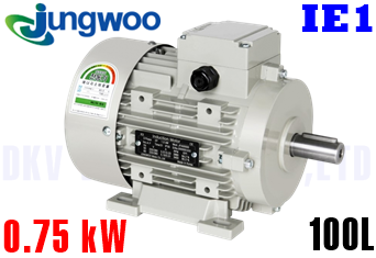 Động cơ điện Jungwoo B3 (0.75 kW, 100L)