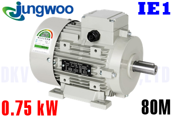 Động cơ điện Jungwoo B3 (0.75 kW, 80M)