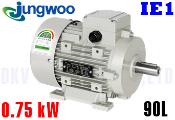 Động cơ điện Jungwoo B3 (0.75 kW, 90L)
