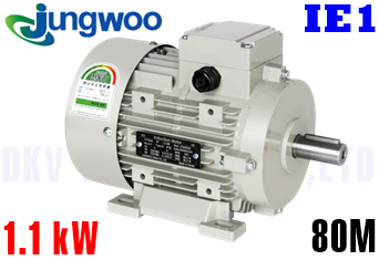 Động cơ điện Jungwoo B3 (1.1 kW, 80M)