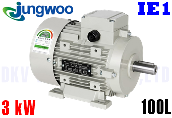 Động cơ điện Jungwoo B3 (3 kW, 100L)