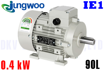 Động cơ điện Jungwoo B3 B3 (0.4 kW, 90L)