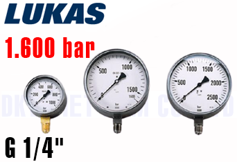 Đồng hồ áp kế Lukas M 316