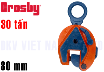 Kẹp tôn đứng Crosby IP10 (30 ton)