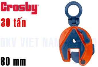 Kẹp tôn đứng Crosby IPU10 (30 ton)
