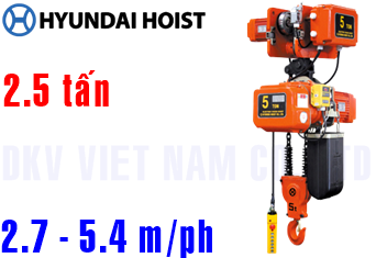 Pa lăng xích điện Hyundai FT-D250