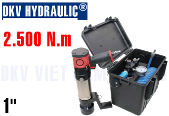 Bộ súng siết lực 2.500 N.m PTW25