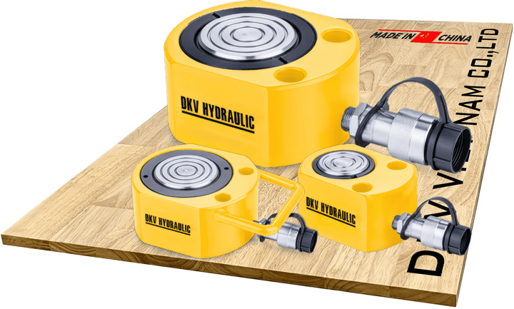 Kích thủy lực RLS100, con đội thủy lực RLS100, hydraulic jack RLS100